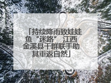 持续降雨致娃娃鱼“迷路” 江西金溪县干群联手助其重返自然
